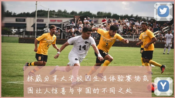 林葳分享大学校园生活体验赛场氛围让人惊喜与中国的不同之处